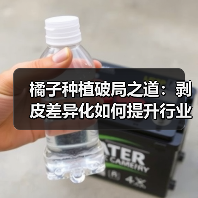 橘子种植破局之道：剥皮差异化如何提升行业竞争力（图2）