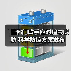 三部门联手应对蝗虫威胁 科学防控方案发布(图2) 三部门联手应对蝗虫威胁 科学防控方案发布(图2)