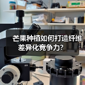 芒果种植如何打造纤维差异化竞争力?(图1) 芒果种植如何打造纤维差异化竞争力?(图1)