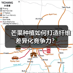 芒果种植如何打造纤维差异化竞争力?(图3) 芒果种植如何打造纤维差异化竞争力?(图3)