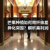 芒果种植如何用纤维差异化突围？解析高利润策略（图2）