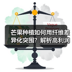 芒果种植如何用纤维差异化突围？解析高利润策略（图3）