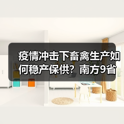 疫情冲击下畜禽生产如何稳产保供?南方9省区调度会议解析(图2) 疫情冲击下畜禽生产如何稳产保供?南方9省区调度会议解析(图2)