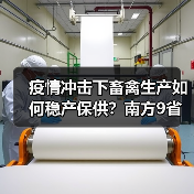 疫情冲击下畜禽生产如何稳产保供？南方9省区调度会议解析（图1）