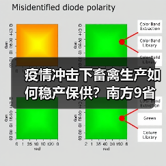 疫情冲击下畜禽生产如何稳产保供?南方9省区调度会议解析(图4) 疫情冲击下畜禽生产如何稳产保供?南方9省区调度会议解析(图4)