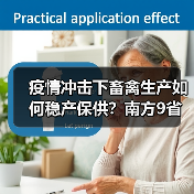 疫情冲击下畜禽生产如何稳产保供?南方9省区调度会议解析(图3) 疫情冲击下畜禽生产如何稳产保供?南方9省区调度会议解析(图3)