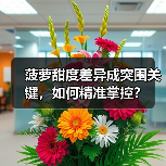 菠萝甜度差异成突围关键,如何精准掌控?(图4) 菠萝甜度差异成突围关键,如何精准掌控?(图4)
