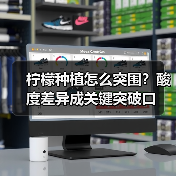 柠檬种植怎么突围?酸度差异成关键突破口(图2) 柠檬种植怎么突围?酸度差异成关键突破口(图2)