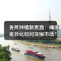香蕉种植新思路:糯度差异化如何突围市场?(图2) 香蕉种植新思路:糯度差异化如何突围市场?(图2)