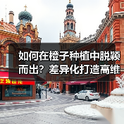 如何在橙子种植中脱颖而出?差异化打造高维C品牌关键(图2) 如何在橙子种植中脱颖而出?差异化打造高维C品牌关键(图2)