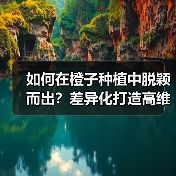 如何在橙子种植中脱颖而出?差异化打造高维C品牌关键(图1) 如何在橙子种植中脱颖而出?差异化打造高维C品牌关键(图1)