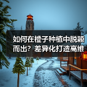 如何在橙子种植中脱颖而出?差异化打造高维C品牌关键(图4) 如何在橙子种植中脱颖而出?差异化打造高维C品牌关键(图4)