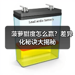 菠萝甜度怎么赢？差异化秘诀大揭秘（图2）