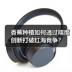 香蕉种植如何通过糯度创新打破红海竞争？（图2）