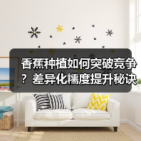 香蕉种植如何突破竞争?差异化糯度提升秘诀(图2) 香蕉种植如何突破竞争?差异化糯度提升秘诀(图2)