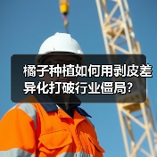 橘子种植如何用剥皮差异化打破行业僵局？（图2）