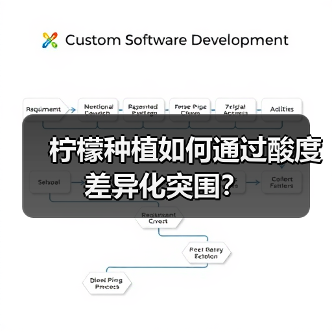 柠檬种植如何通过酸度差异化突围？
