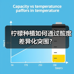 柠檬种植如何通过酸度差异化突围？（图2）