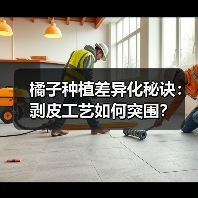 橘子种植差异化秘诀:剥皮工艺如何突围?(图4) 橘子种植差异化秘诀:剥皮工艺如何突围?(图4)