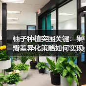 柚子种植突围关键：果瓣差异化策略如何实现？