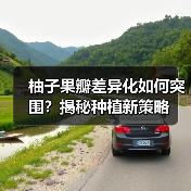柚子果瓣差异化如何突围?揭秘种植新策略(图2) 柚子果瓣差异化如何突围?揭秘种植新策略(图2)