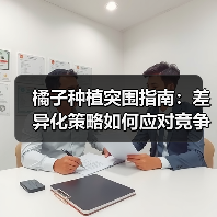 橘子种植突围指南：差异化策略如何应对竞争？