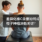 差异化维C含量如何成橙子种植决胜关键?(图2) 差异化维C含量如何成橙子种植决胜关键?(图2)