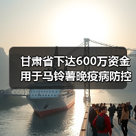 甘肃省下达600万资金用于马铃薯晚疫病防控(图3) 甘肃省下达600万资金用于马铃薯晚疫病防控(图3)