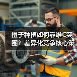 橙子种植如何靠维C突围?差异化竞争核心策略全解析(图3) 橙子种植如何靠维C突围?差异化竞争核心策略全解析(图3)