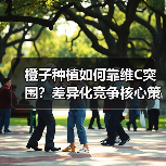橙子种植如何靠维C突围?差异化竞争核心策略全解析(图4) 橙子种植如何靠维C突围?差异化竞争核心策略全解析(图4)