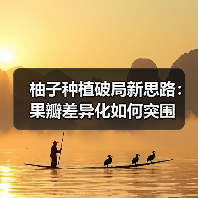 柚子种植破局新思路:果瓣差异化如何突围(图2) 柚子种植破局新思路:果瓣差异化如何突围(图2)
