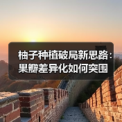 柚子种植破局新思路：果瓣差异化如何突围