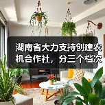 湖南省大力支持创建农机合作社,分三个档次予以奖补(图2) 湖南省大力支持创建农机合作社,分三个档次予以奖补(图2)
