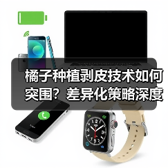 橘子种植剥皮技术如何突围？差异化策略深度解析