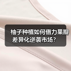 柚子种植如何借力果瓣差异化逆袭市场？