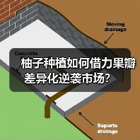 柚子种植如何借力果瓣差异化逆袭市场?(图2) 柚子种植如何借力果瓣差异化逆袭市场?(图2)