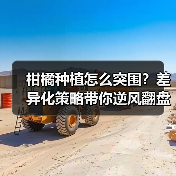 柑橘种植怎么突围？差异化策略带你逆风翻盘！