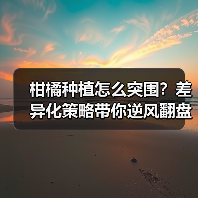 柑橘种植怎么突围?差异化策略带你逆风翻盘!(图3) 柑橘种植怎么突围?差异化策略带你逆风翻盘!(图3)