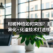 柑橘种植如何突围？差异化+化渣技术打造核心竞争力（图4）