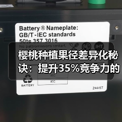 樱桃种植果径差异化秘诀：提升35%竞争力的实战策略
