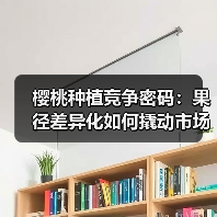 樱桃种植竞争密码:果径差异化如何撬动市场?(图4) 樱桃种植竞争密码:果径差异化如何撬动市场?(图4)