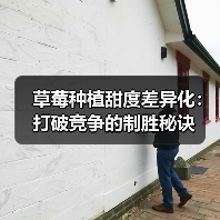 草莓种植甜度差异化：打破竞争的制胜秘诀
