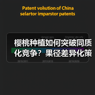 樱桃种植如何突破同质化竞争？果径差异化策略全解析（图4）