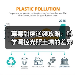 草莓甜度逆袭攻略:科学调控光照土壤的差异化破局方法(图4) 草莓甜度逆袭攻略:科学调控光照土壤的差异化破局方法(图4)