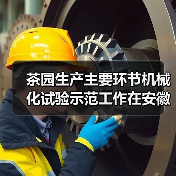 茶园生产主要环节机械化试验示范工作在安徽黄山有序推进(图2) 茶园生产主要环节机械化试验示范工作在安徽黄山有序推进(图2)