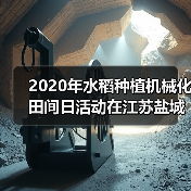 2020年水稻种植机械化田间日活动在江苏盐城举办（图1）