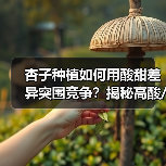杏子种植如何用酸甜差异突围竞争?揭秘高酸/低糖成功法则(图2) 杏子种植如何用酸甜差异突围竞争?揭秘高酸/低糖成功法则(图2)