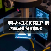 苹果种植如何突围？脆甜差异化策略揭秘（图2）
