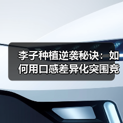 李子种植逆袭秘诀：如何用口感差异化突围竞争？（图4）