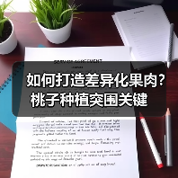 如何打造差异化果肉？桃子种植突围关键